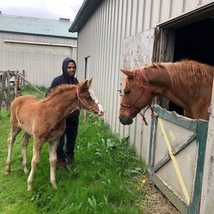 Meet your Posher, Devin